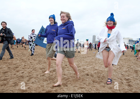 Polar Bear Club Ostend Strand Stockfoto