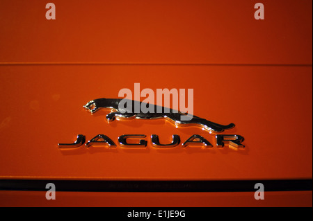 Jaguar F-Type V6S Nachtaufnahme Dach Stockfoto