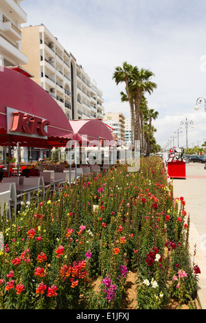 Blumen in voller Blüte auf Larnaca Promenade, Finikoudes, Larnaca, Zypern. Stockfoto