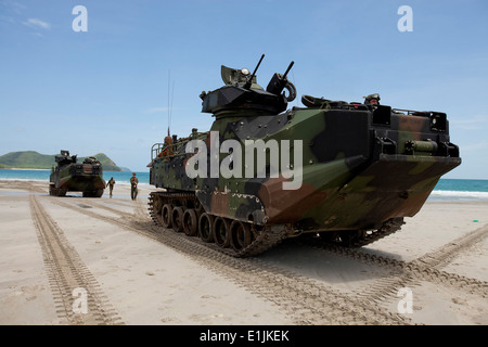 US-Marines mit dem 3. Marineabteilung, III. Marine Expeditionary Force positionieren Sie ihren Angriff amphibische Fahrzeuge auf der bea Stockfoto