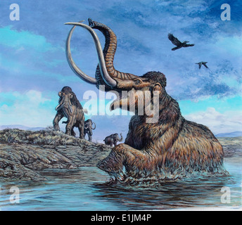 Kolumbianischen Mammut gefangen von Asphalt bei La Brea Tar Pits, California. Stockfoto