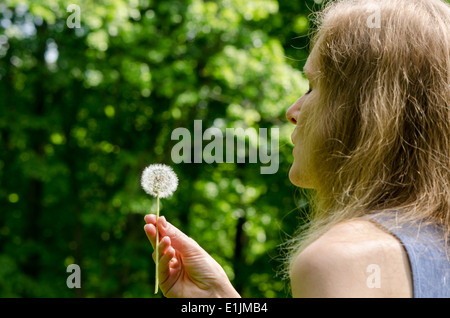 Frau Hand halten Deflorated Sowthistle Blume Löwenzahn Samen vor Blasluft. Stockfoto