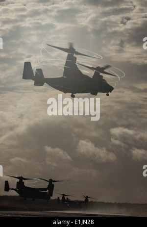 Drei US-Marinekorps MV-22 Osprey Tiltrotor Flugzeug zugewiesen, Marine Medium Tiltrotor Squadron (VMM) 265, 31. Marine Ex Stockfoto