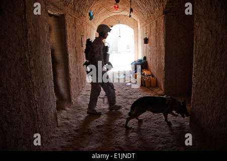 U.S. Marine Corps Lance Cpl. Joseph Nunez und Viky, ein Marinekorps improvisierten Sprengkörpern Detektor Hund, beide mit F verbunden Stockfoto