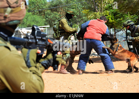 Mitglieder der Israel Defense Force demonstrieren ihre Hund-Handling-Taktik für Deputy Secretary Of Defense Ash B. Carter auf Cam Stockfoto