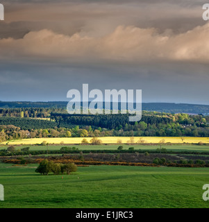 Stilecop Bereich Flaxley Green, Blick über den Trent Valley und Rugeley, Cannock Chase Area of Außergewähnliche Natural Beauty in Sprin Stockfoto