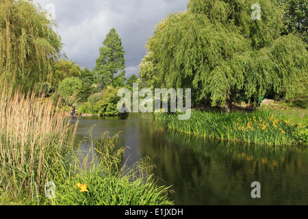 Großbritannien, England, London, Regents Park, Garten, Stockfoto