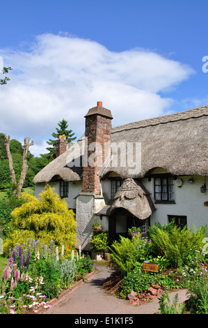 Reetdachhaus, Cockington, Devon, UK Stockfoto