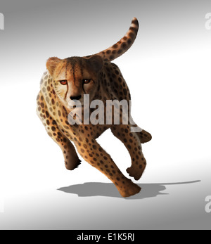 Kunstwerk eines sprinten Geparden (Acinonyx Jubatus) Geparden jagen Pflanzenfresser wie Gazellen und Zebras kriechend in wenigen Stockfoto