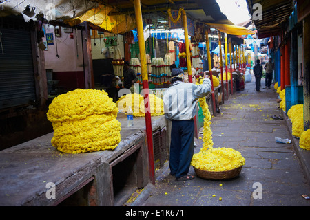 Indien, Karnataka, Mysore, Devaraja Markt, Blume Stockfoto