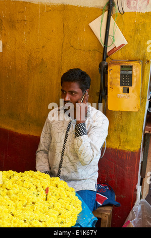 Indien, Karnataka, Mysore, Devaraja Markt, Blume Stockfoto