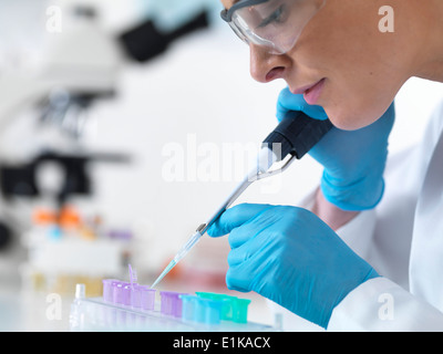 Wissenschaftlerin mit Pipette Flüssigkeit in Eppendorf Röhren fallen zu lassen. Stockfoto