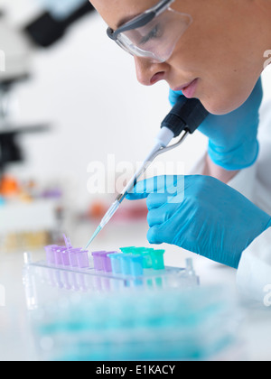 Wissenschaftlerin mit Pipette Flüssigkeit in Eppendorf Röhren fallen zu lassen. Stockfoto