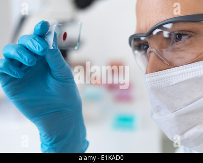 Die Wissenschaftlerin hält einen Objektträger mit einer Blutprobe. Stockfoto