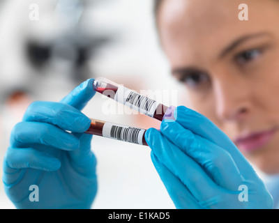 Wissenschaftlerin mit Blutproben in Reagenzgläsern. Stockfoto