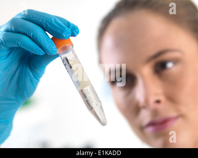 Die Wissenschaftlerin hält ein Eppendorf-Röhrchen mit Flüssigkeit im Inneren. Stockfoto