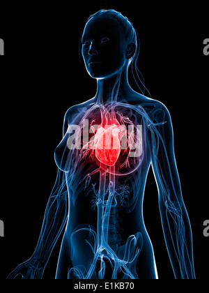 Weibliche Herz Computer Artwork. Stockfoto