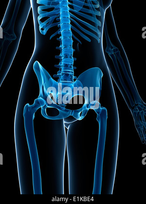 Weiblichen Skelett Computer Artwork. Stockfoto