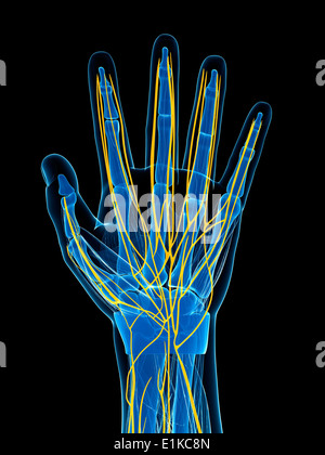 Menschliche Hand Nerven Computer Artwork. Stockfoto