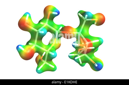 Saccharose molekulare Modell, das die farbigen Karte repräsentiert das elektrostatische Potential über das Molekül Oberfläche sind die Atome Stockfoto