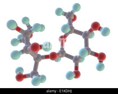 Saccharose Molekülmodell Atome als Kugeln dargestellt werden und sind farblich gekennzeichnet: Kohlenstoff (grau) Wasserstoff (grün) und Sauerstoff (rot). Stockfoto