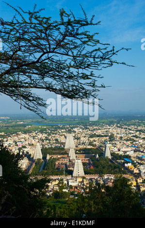 Indien, Tamil Nadu, Tiruvannamalai, Arunachaleswar Tempel Stockfoto