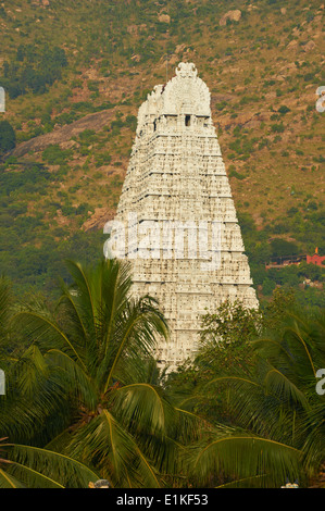 Indien, Tamil Nadu, Tiruvannamalai, Arunachaleswar Tempel Stockfoto