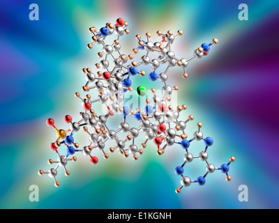 Molekülmodell Vitamin B12 Vitamin B12(cobalamin) ist ein essentieller Nährstoff, den Menschen nicht in der Lage sind zu produzieren und müssen Stockfoto