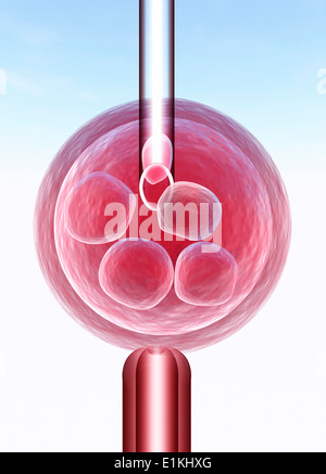 Artwork von In vitro-Fertilisation (IVF). Stockfoto