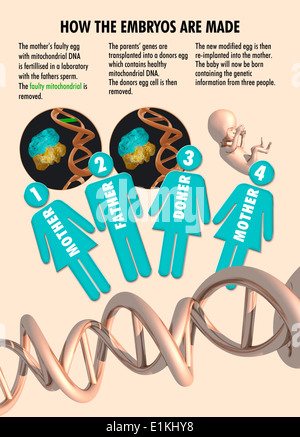 Infografik zeigt den Prozess der drei übergeordneten IVF (in-vitro-Fertilisation) Behandlung. Stockfoto
