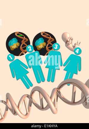 Infografik zeigt den Prozess der drei übergeordneten IVF (in-vitro-Fertilisation) Behandlung. Stockfoto