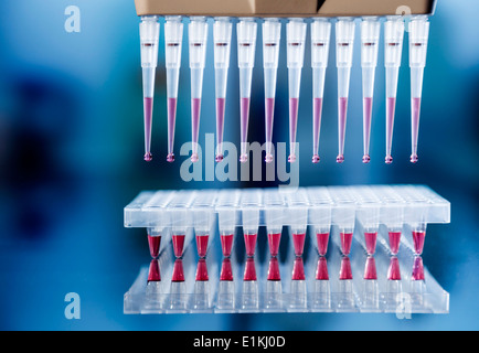 Ampullen von Blutproben. Stockfoto