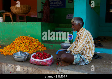 Indien, Tamil Nadu, Madurai, Blumenmarkt Stockfoto