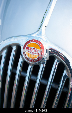 Jaguar XK 1450 Grill und Abzeichen. Stockfoto