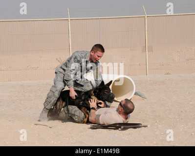 U.S. Air Force Personal Sgts. Scott Emmick und Byran Bowermaster, zugeordnet der 379th Expeditionary Security Force Squadron-Hund Stockfoto