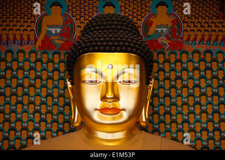 Sakyamuni Buddha. Jogysea Tempel. Haupthalle. Stockfoto