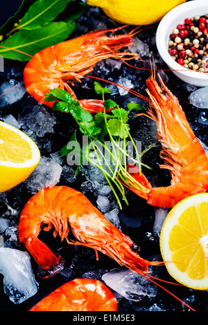 Tiger Garnelen auf Eis mit Zitrone und Kräutern Stockfoto