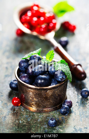 Heidelbeeren und roten Johannisbeeren Beeren Stockfoto