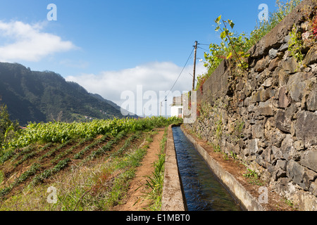 Levada, Bewässerungskanal mit Wanderweg auf die Insel Madeira, Portugal Stockfoto