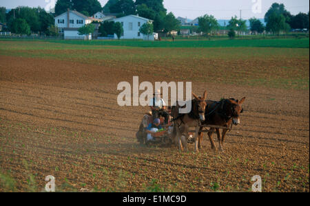 Die Amish von Pennsylvania Stockfoto