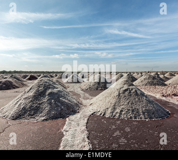 Salzbergwerk an Sambhar See, Sambhar, Rajasthan, Indien Stockfoto