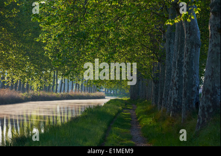 Frankreich, Languedoc-Roussillon, Hérault Depatment, Canal du Midi in der Nähe von Capestang Stockfoto