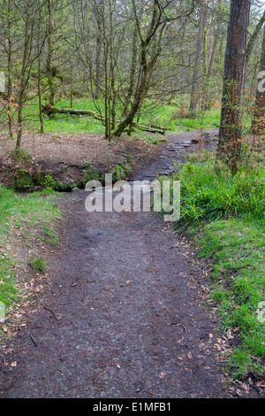 Hardcastle Klippen Naturpark, Hebden Bridge, Stockfoto