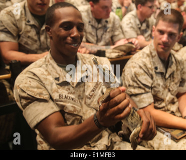 Ein US-Marine mit Marine Rotations Kraft-Darwin behandelt ein Süßwasser Krokodil während eine Orientierung am Robertson Barra kurze Stockfoto