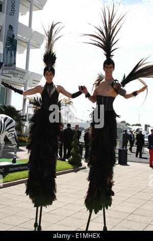 Epsom Downs, Surrey, UK. 6. Juni 2014. Stelze Wanderer bei The Oaks, Epsom Downs Credit: Motofoto/Alamy Live News Stockfoto