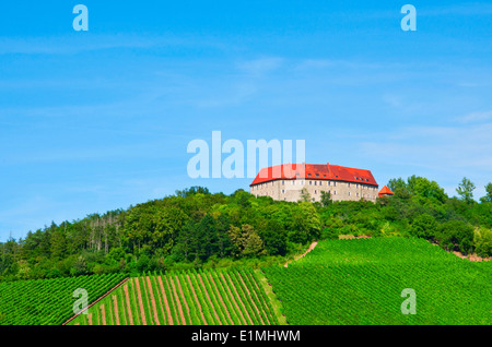 Burg Hoheneck mit Weingarten in Franken/Deutschland Stockfoto