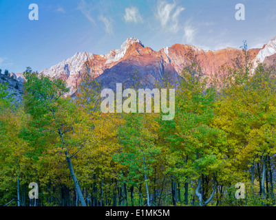 Fallen Sie farbige Espe Bäume und östlichen Berge der Sierra Nevada in der Nähe von McGee Cree, California Stockfoto