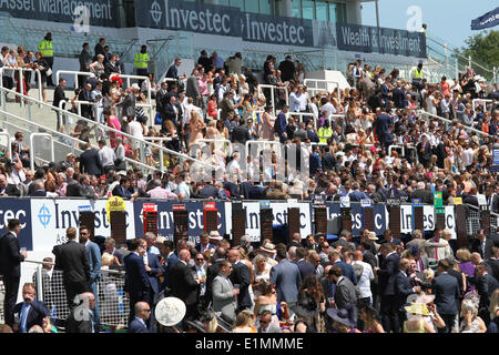 Epsom, UK. 6. Juni 2014. Epsom Massen und Tribüne während der Ladies Day von Epsom Derby Festival 2014. Bildnachweis: Aktion Plus Sport/Alamy Live-Nachrichten Stockfoto