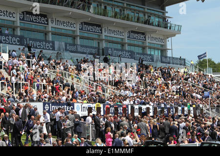 Epsom, UK. 6. Juni 2014. Epsom Massen und Tribüne während der Ladies Day von Epsom Derby Festival 2014. Bildnachweis: Aktion Plus Sport/Alamy Live-Nachrichten Stockfoto