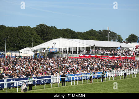 Epsom, UK. 6. Juni 2014. Epsom Massen und Tribüne während der Ladies Day von Epsom Derby Festival 2014. Bildnachweis: Aktion Plus Sport/Alamy Live-Nachrichten Stockfoto